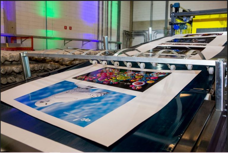 57b829eb-d026-497c-967d-f85e5c6d63cb